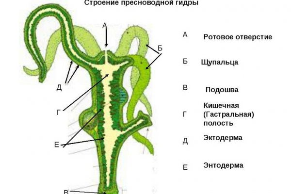 Ссылка на кракен kr2link co