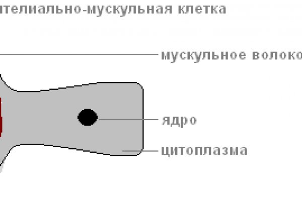 Даркмаркет кракен