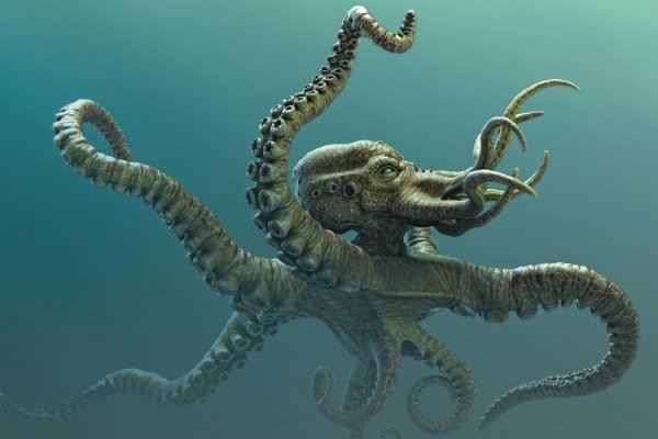 Kraken как найти ссылку